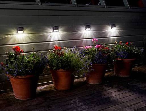 Light up you plants or a path at night with a set of 4 solar lights. £19.95.
